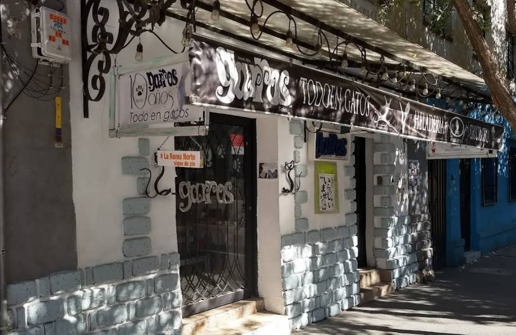 Garros Galería Todo en Gatos-0