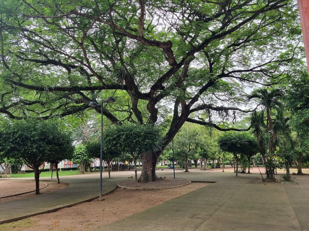 Parque de Convivencia-2
