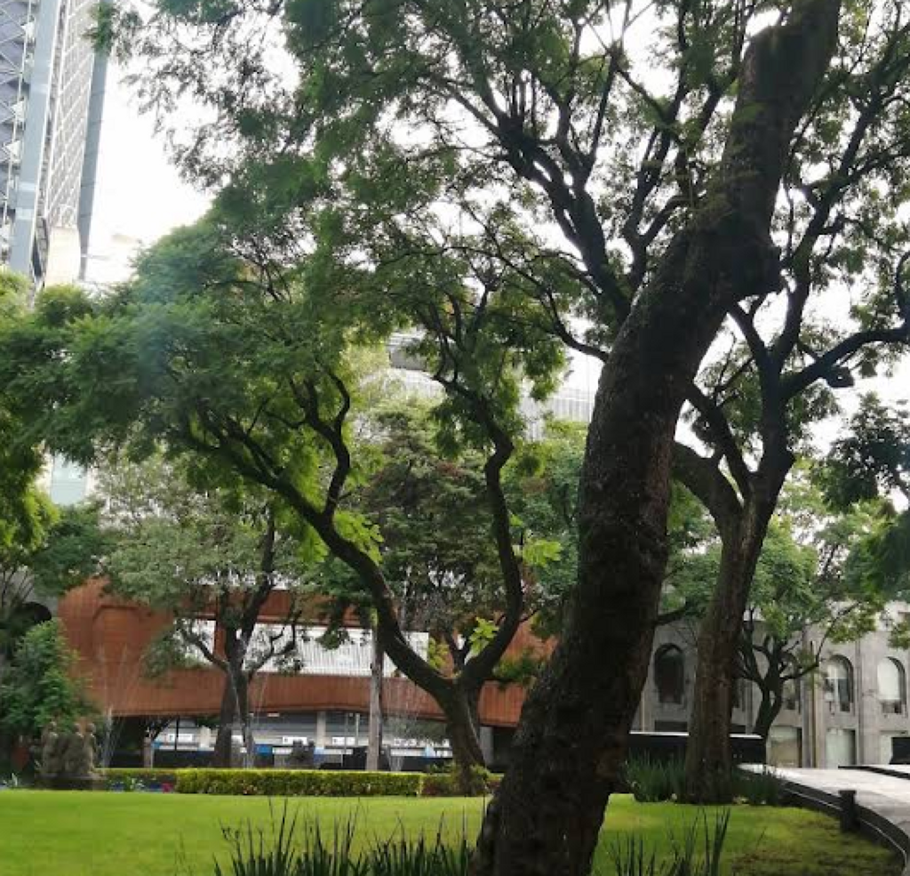 Laboratorio Central-0