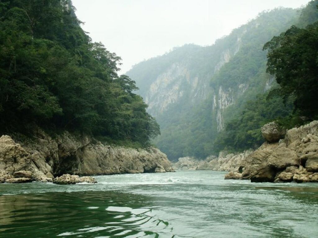 Área de Protección de Flora y Fauna Cañón del Usumacinta-0