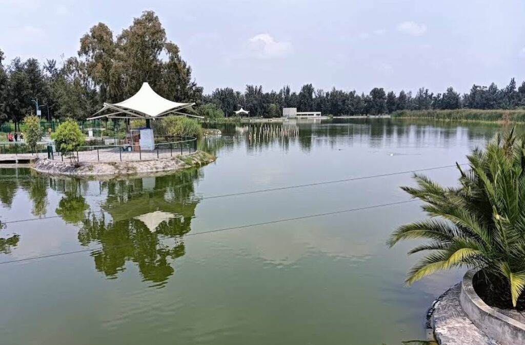 Lago del Bosque de San Juan de Aragón-0