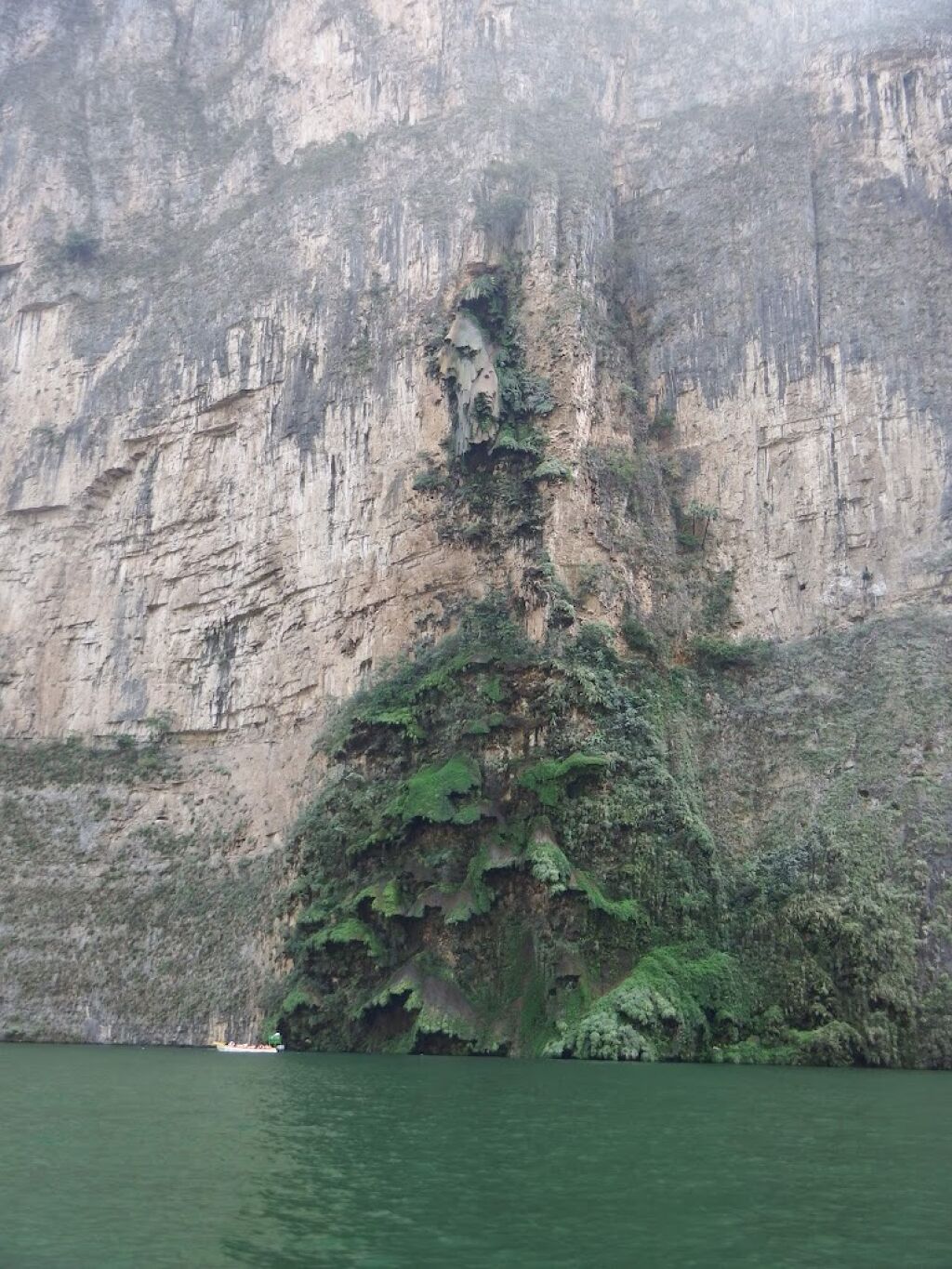 Cascada Del Arbol De Navidad-1
