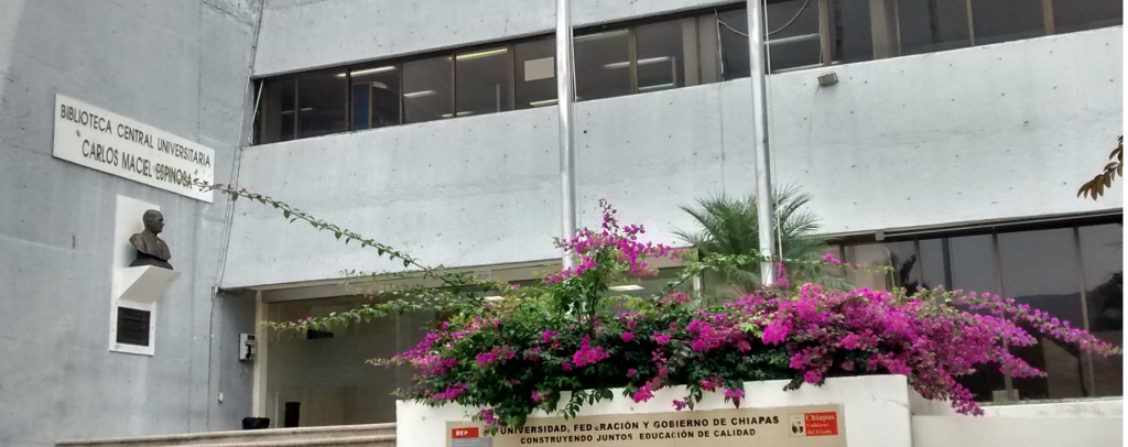 Biblioteca Central UNACH-0