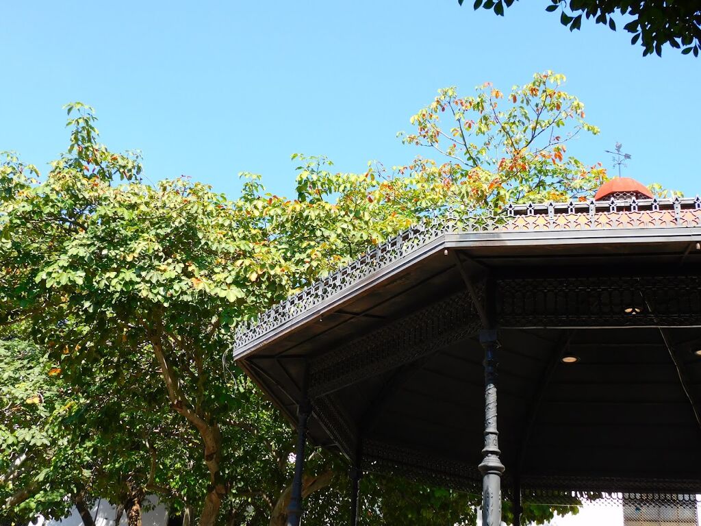 Parque Central Catedral-1