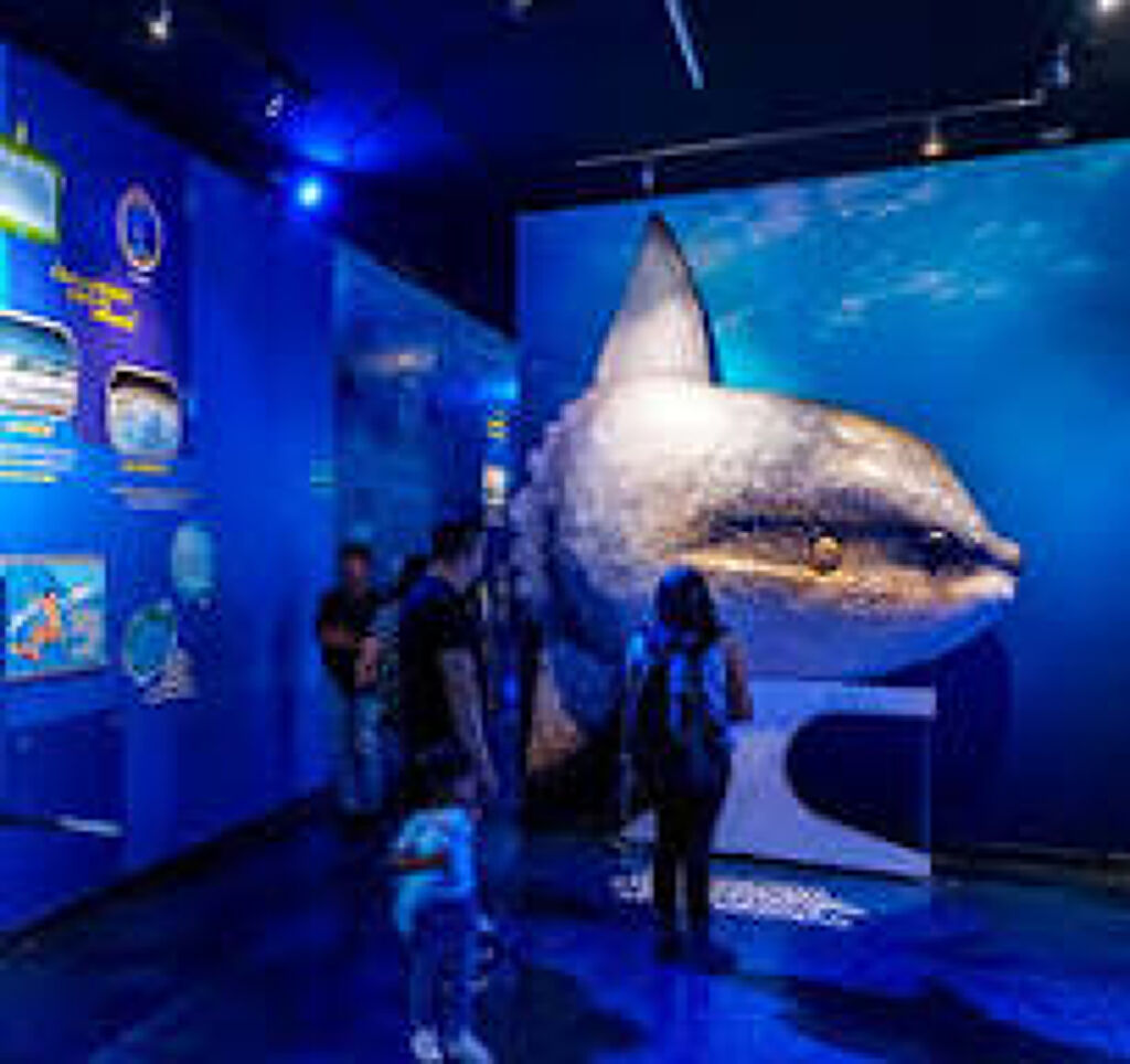 Acuario Inbursa-2