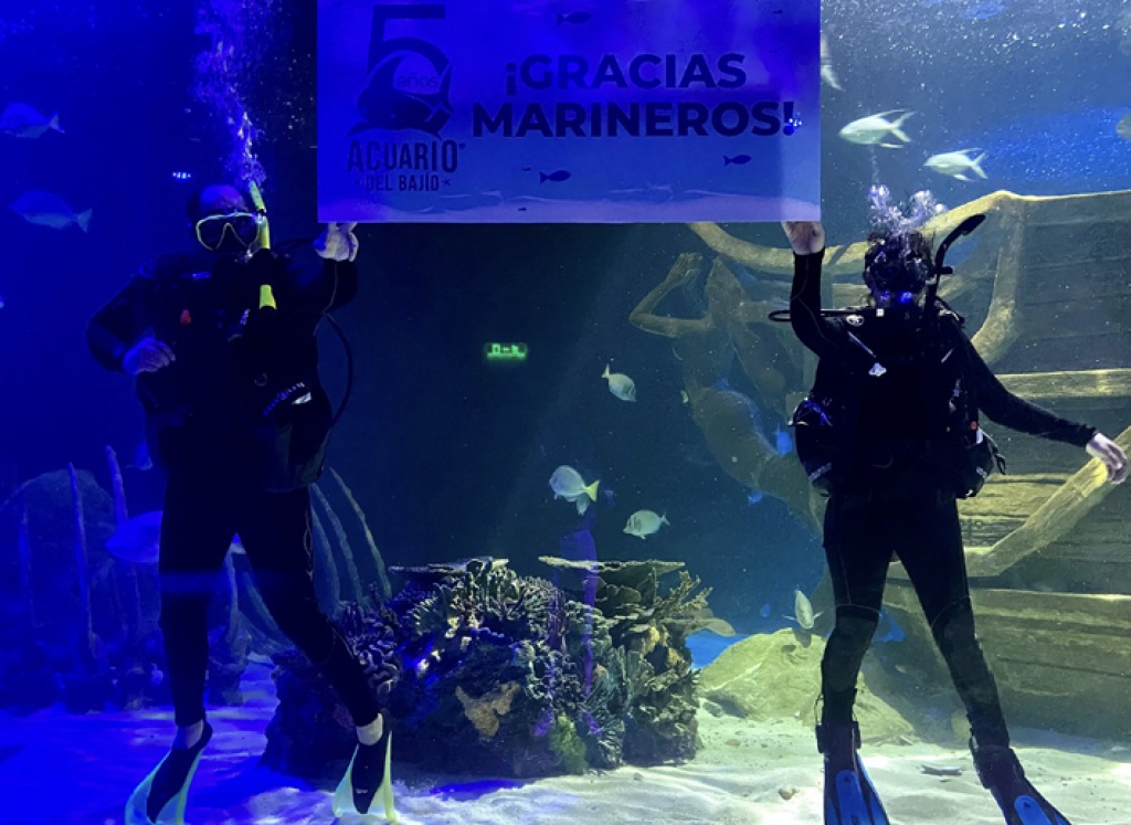 Acuario Ventura-0