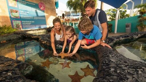 Aquarium Cancún-0