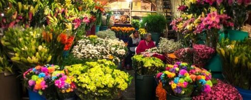Mercado de Jamaica-0