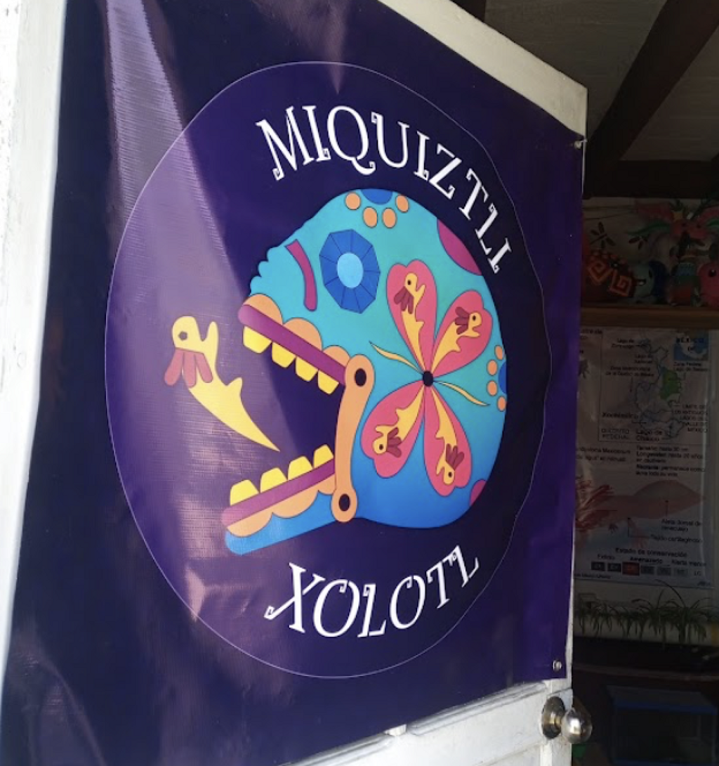 Ajolotario Miquiztli Xolotl-2