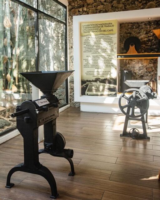 Museo del Café-0