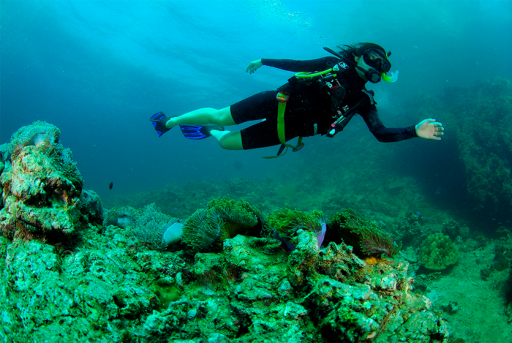 Aqua Sports Center and Scuba Dive-0