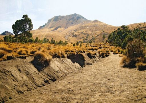 Parque Nacional La Malinche-0