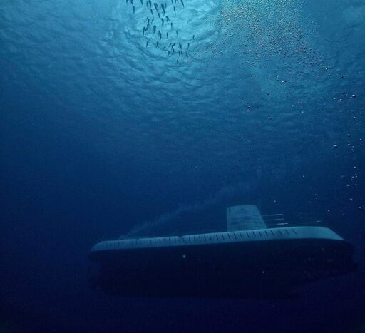 Atlantis Submarines Cozumel-0