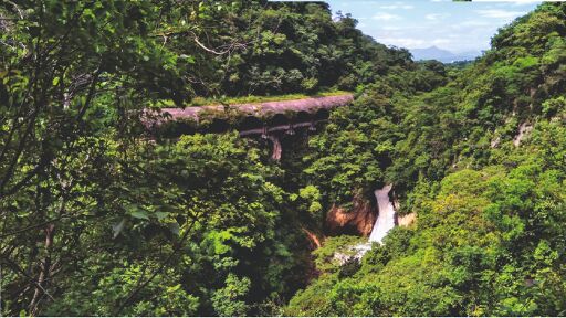 Puente pénsil de Atoyac-0