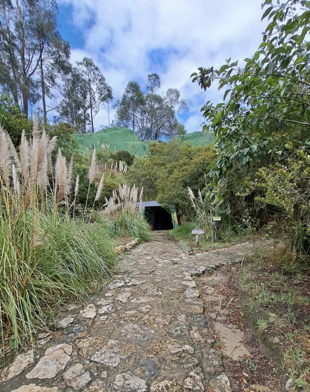 Aula Ambiental Soratama-1
