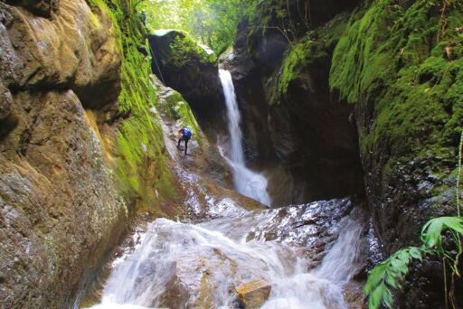 Parque nacional Palo Verde-0