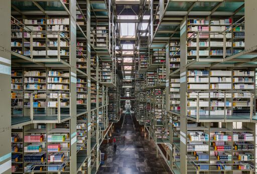 Biblioteca Vasconcelos-0
