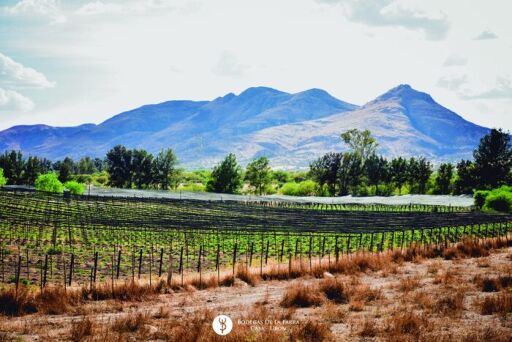 Bodegas de la Parra-0