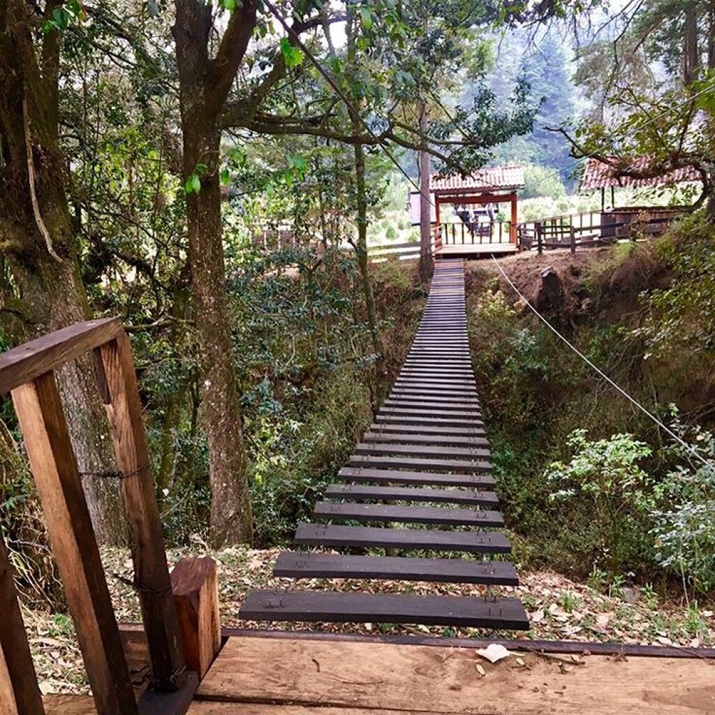 Bosque la Esmeralda-2