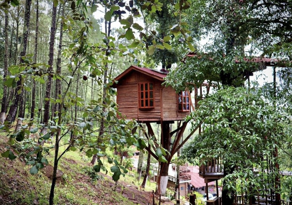 Cabañas del Bosque Kali-Tree-0