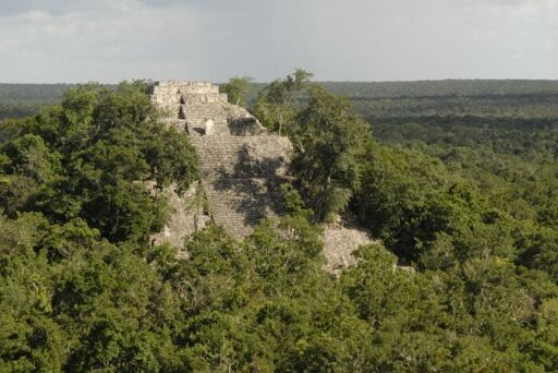 Calakmul-0