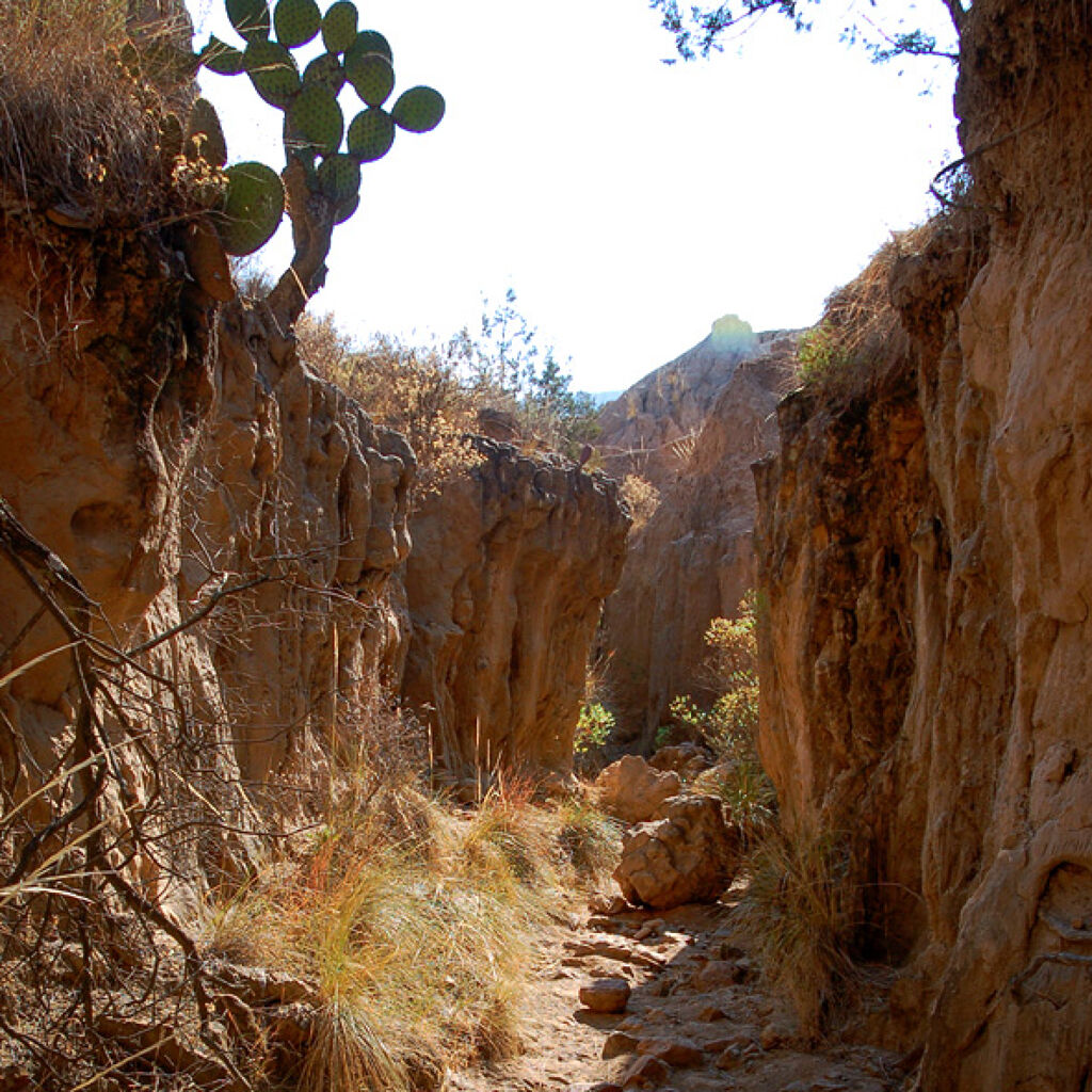 Laberintos de Tlaxco-2