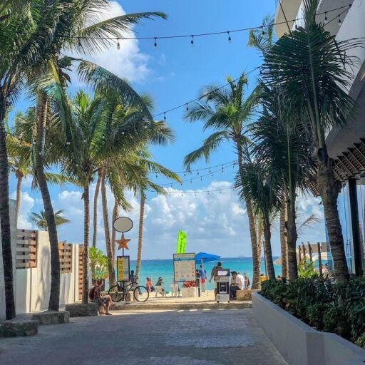 Camina por la Quinta Avenida de Playa del Carmen-0