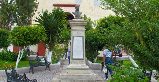 Jardines del centro-0