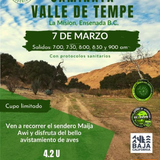 Valle de Tempe-0