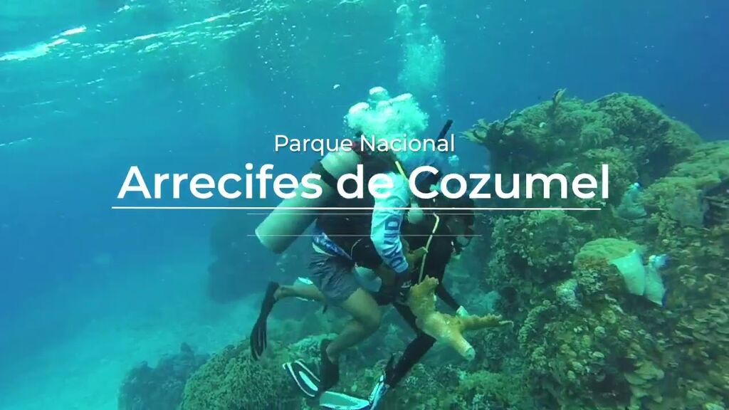 Parque Nacional de Arrecifes de Cozumel-1