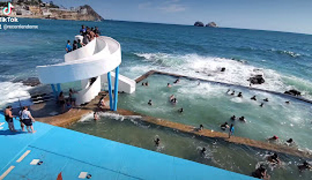 Carpa Olivera-2