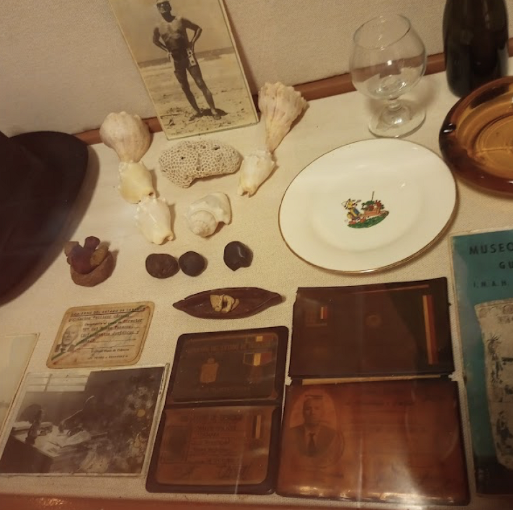 Casa Museo Carlos Pellicer Cámara-2