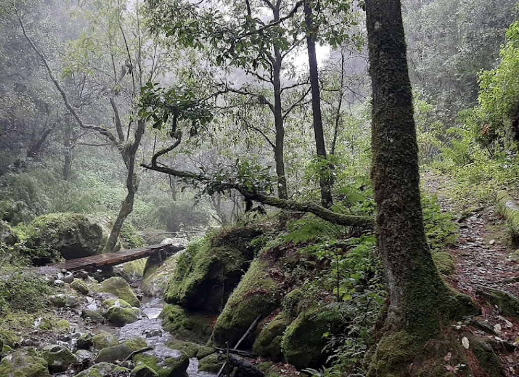 Cascada de Bandola-1