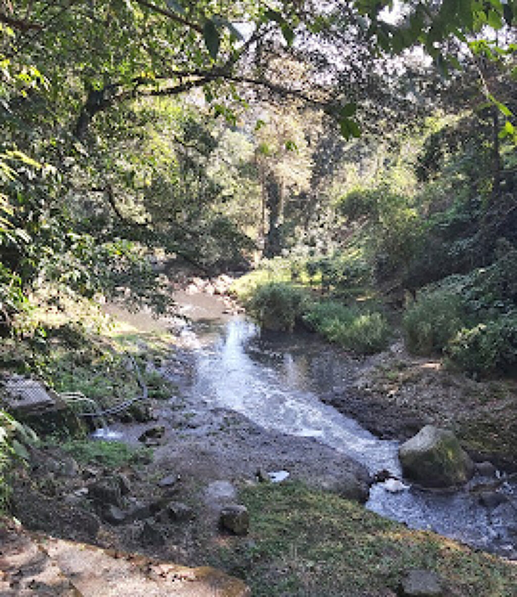 Cascadas de Tenexamaxa-1