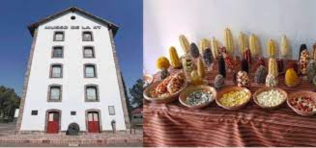 Cencalli "Casa del maíz y la cultura alimentaria"-2