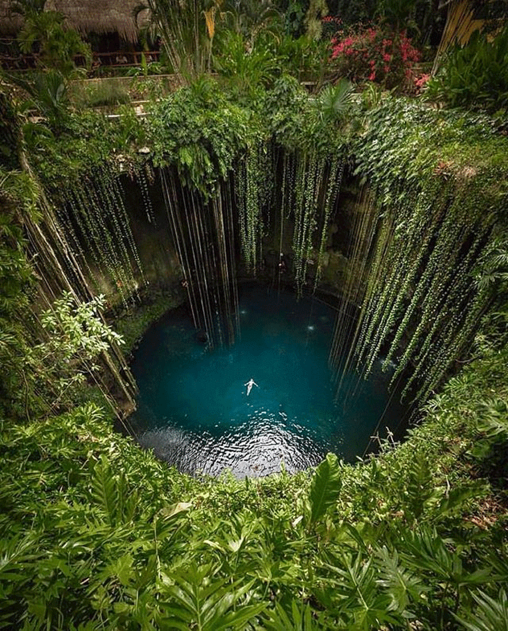 Cenote Ik-Kil, ''el lugar de los vientos''-2