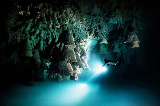 Cenote Zapote-0