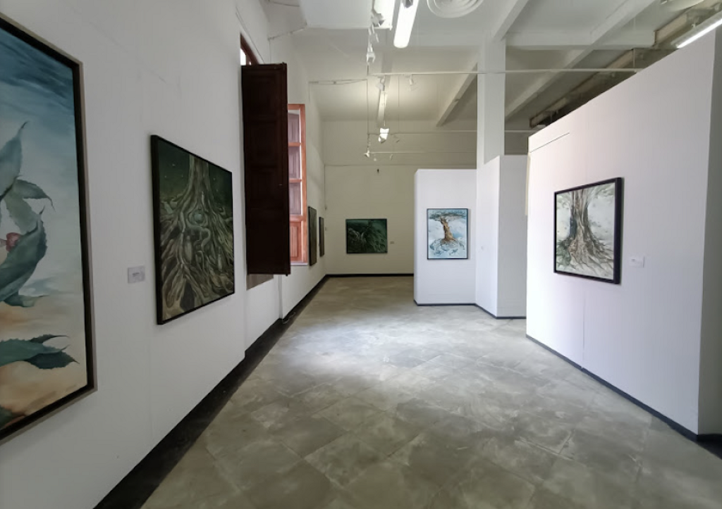Centro de Arte Contemporáneo Emilia Ortiz-4