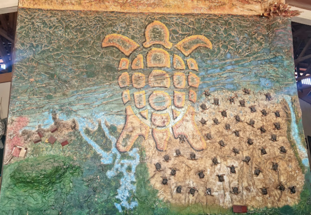 Centro Mexicano de la Tortuga-2