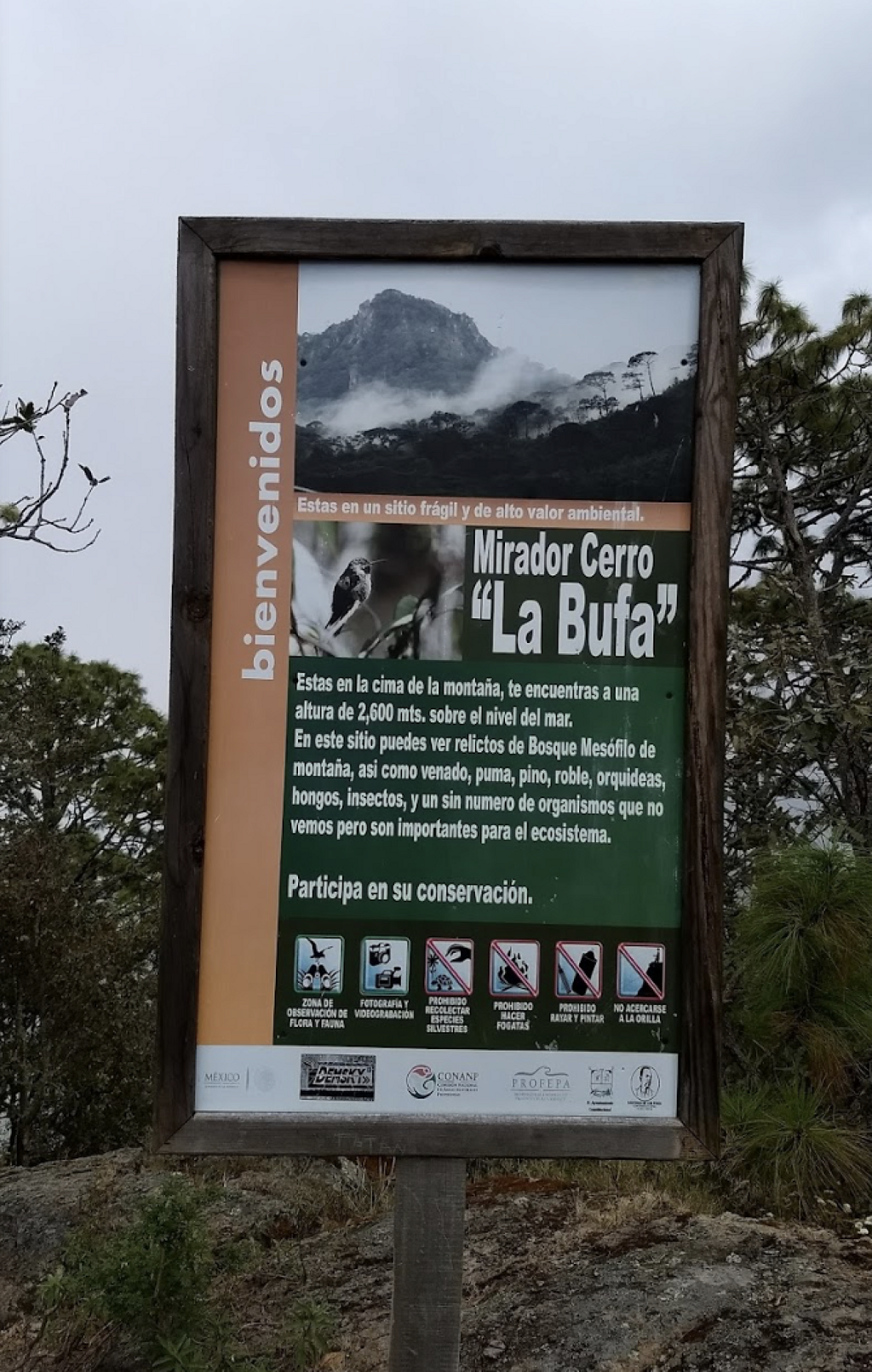 Cerro La Bufa-1
