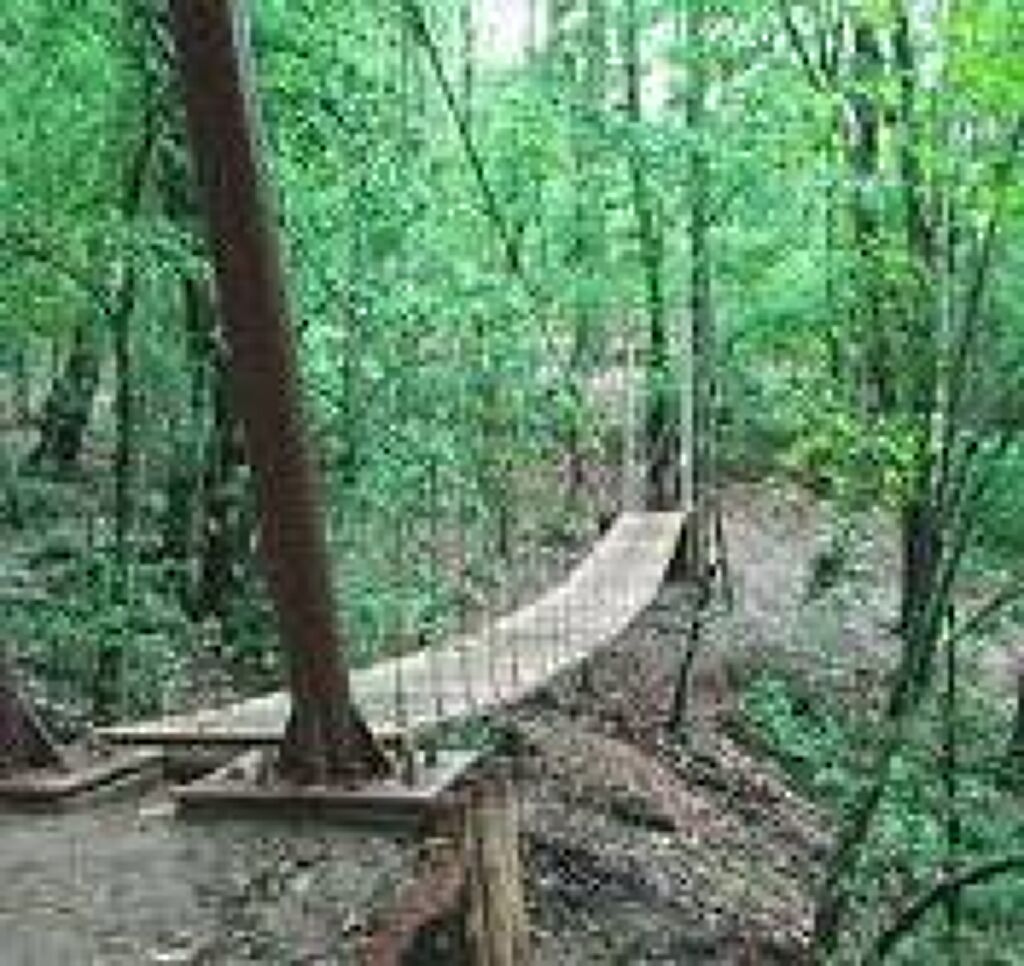 Cerro del Huixteco-2