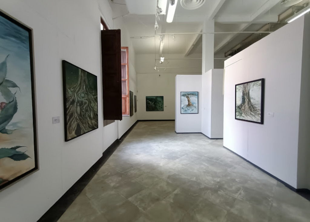 Centro de Arte Contemporáneo Emilia Ortiz-0