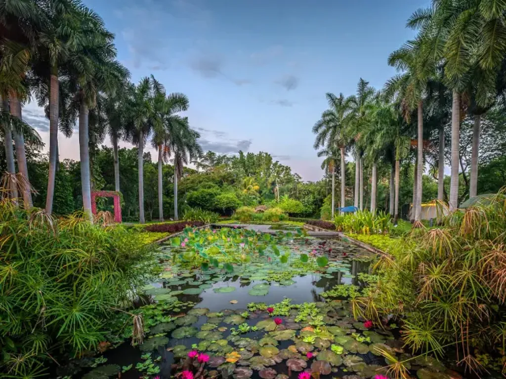 Jardín Botánico Culiacán-2