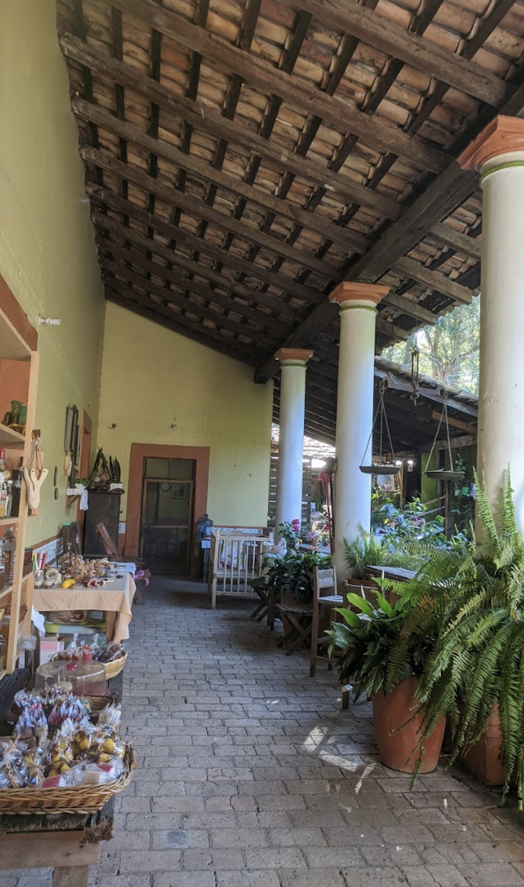 Cafetalera La Quinta Mary-3