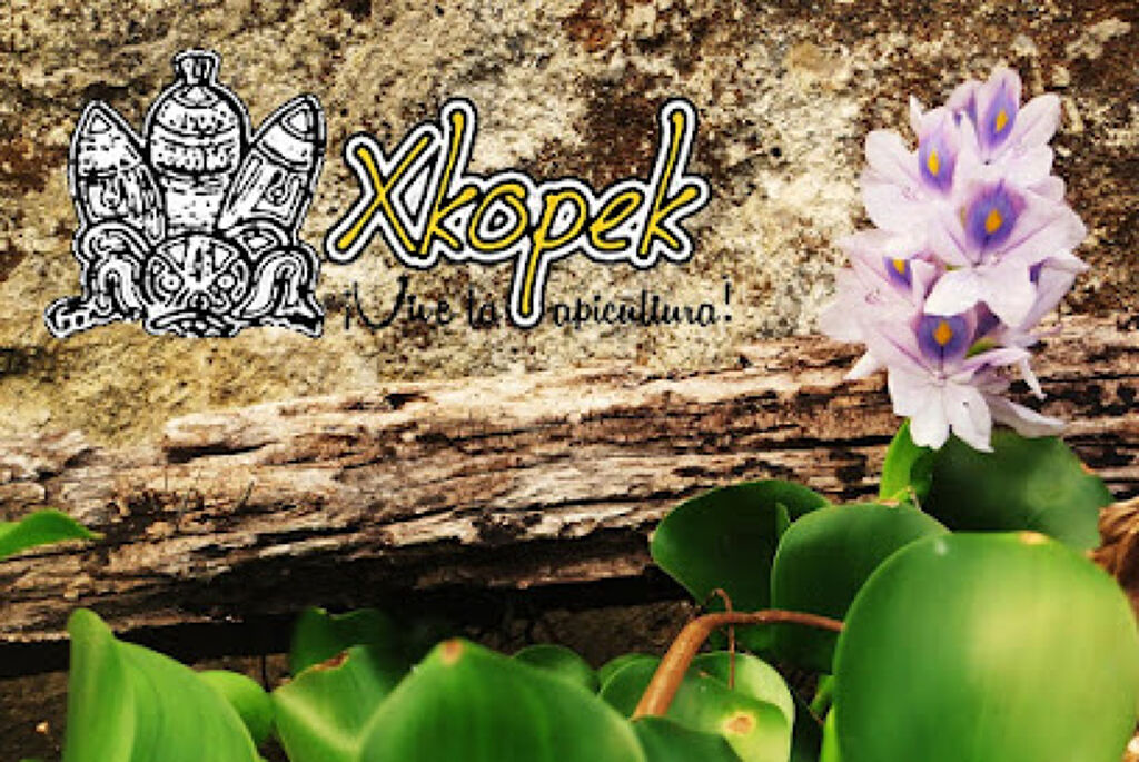 Xkopek Parque Apícola-1