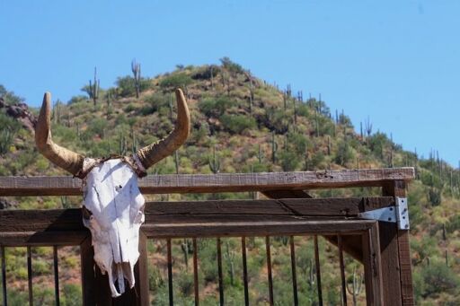 Convive con la naturaleza en el Rancho Ecoturístico El Peñasco-0