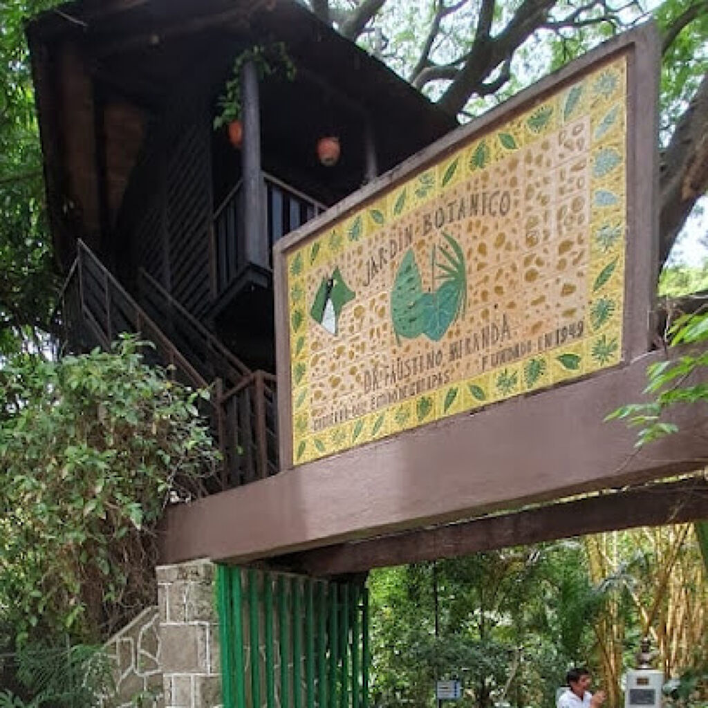 Jardín Botánico Dr. Faustino Miranda-1