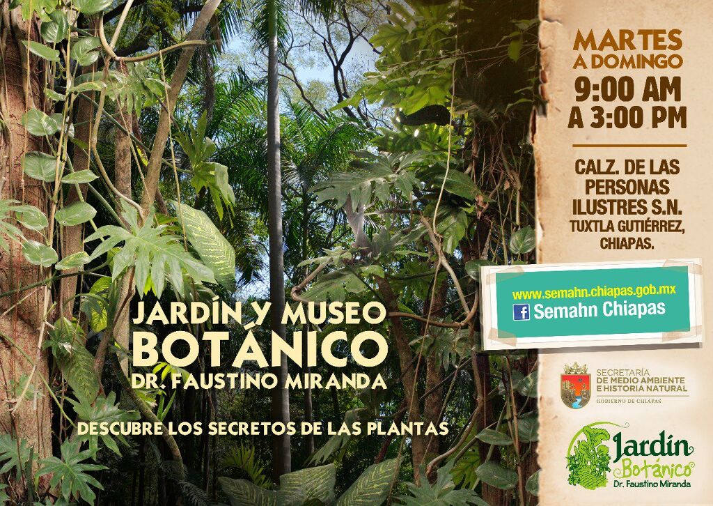 Jardín Botánico Dr. Faustino Miranda-0