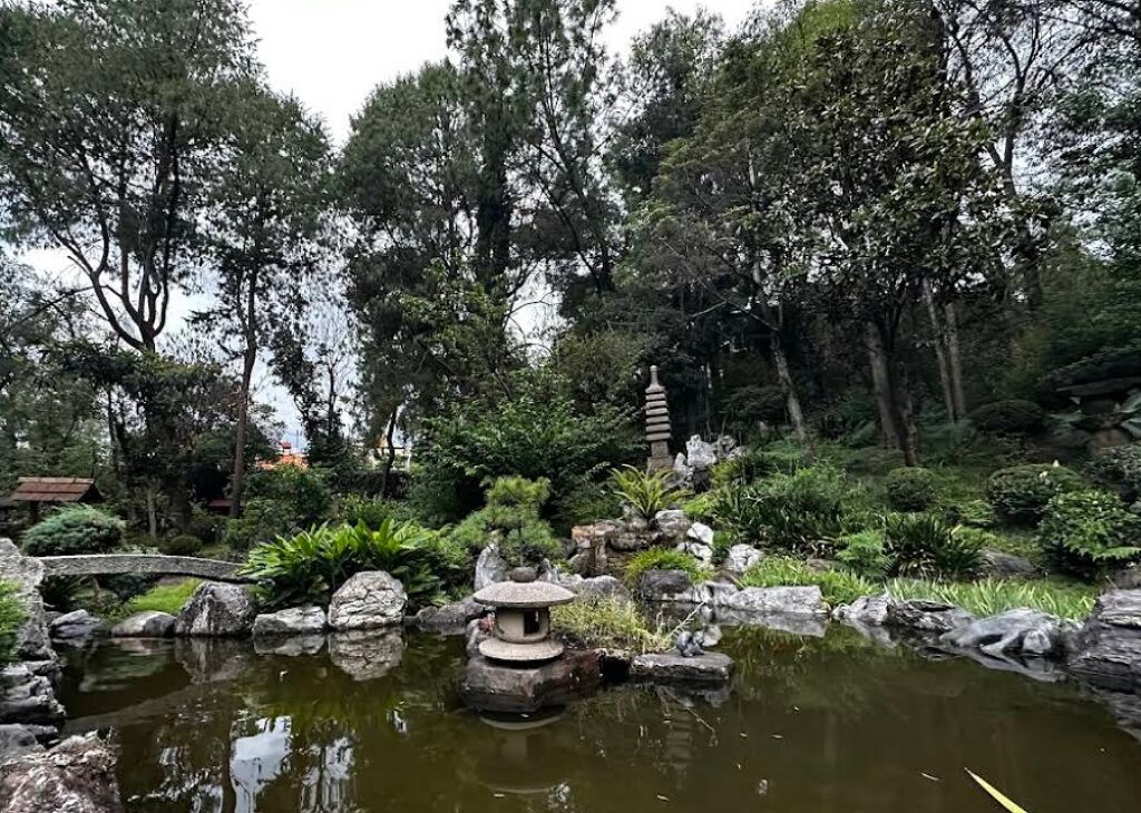 Asociación México Japonesa-0