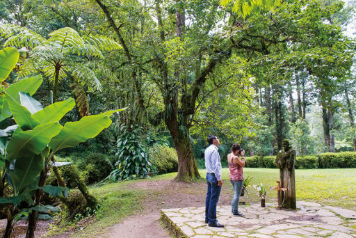 Deambula por los jardines de la Casa del Monje-0